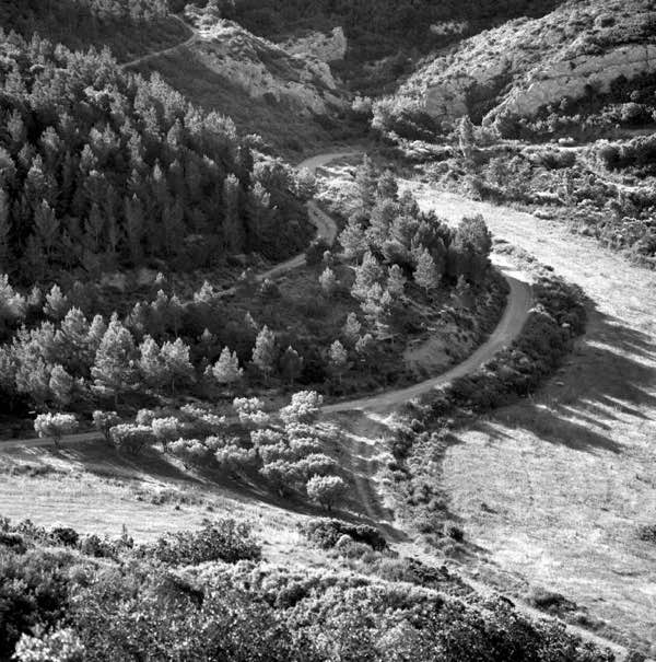 Marie VIDAL - auteure photographe artiste - Fontfroide - olivier chemin de aragon